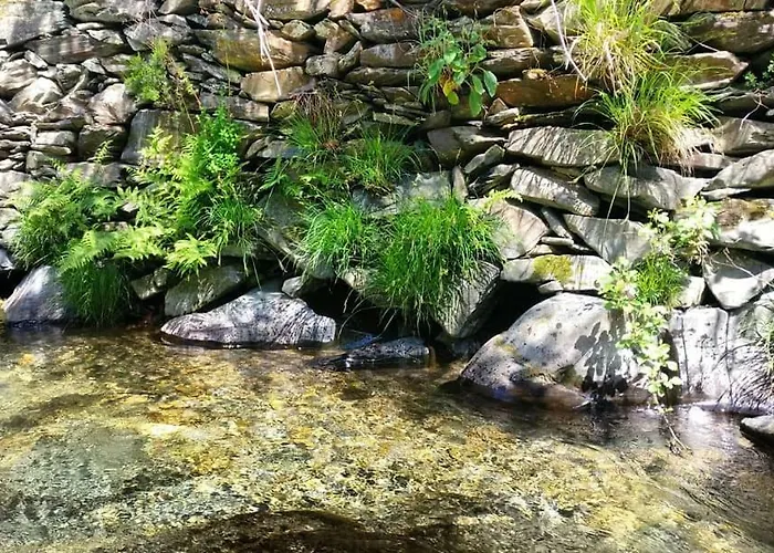 A Casa Da Natalia * Cha de Alvares